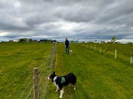 Off for a walk