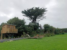 Tree house