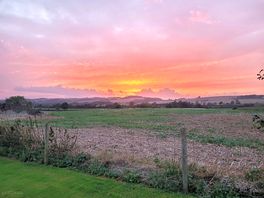 Across the fields