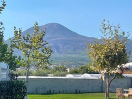 Vesuvius viewed from the site