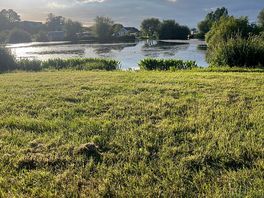 Lakie view