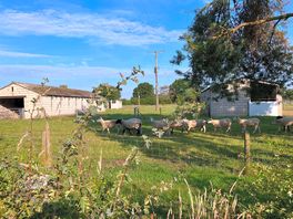 Rural setting with a small-holding on the site.