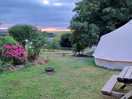 View from tent