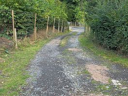Local walk