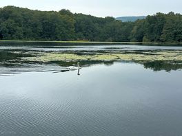 Beautiful peaceful lake