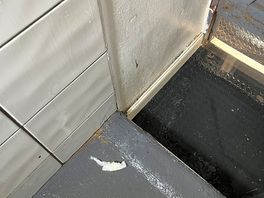 Mould and dirt everywhere