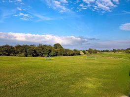 Adult field