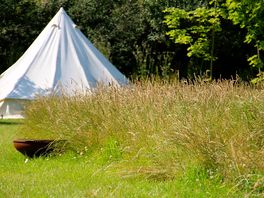 Non-electric pitch on the meadow