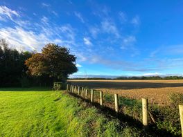Lovely well signed walks