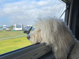 Awaiting our next adventure