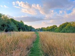 Beautiful walks