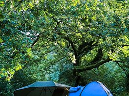 Camp!