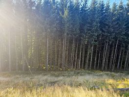Soldier trees