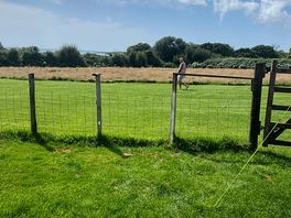 Fenced plot to keep the pups contained.