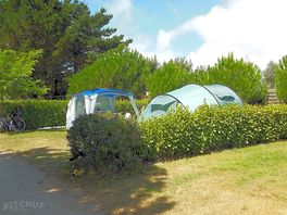 Grass pitches