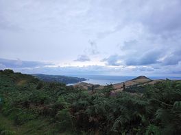 A nice walk nearby