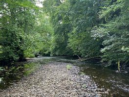River on site