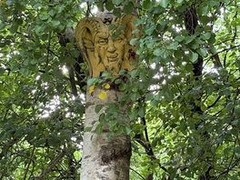Green man trail