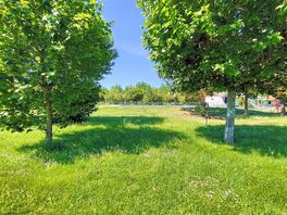 Grass pitches