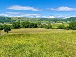 Beautiful Porlock Vale Campsite - stunning countryside, moorland and coastal scenery all around