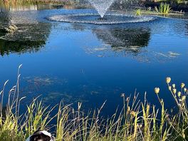 Fountains