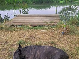 Chilling with my buddy