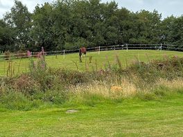 Other side of field