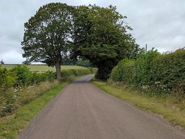Walking to rennington
