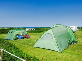 Grass pitch