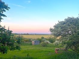 Evening light.