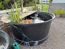 Fish pond