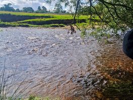 River eden