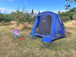 Pitches in the orchard amongst the apple and pear trees .
