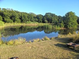 The little lake