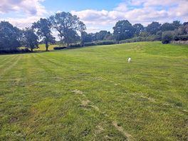 Main camping field