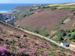 Porthtowan from the path
