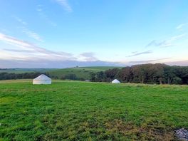 View from the yurt