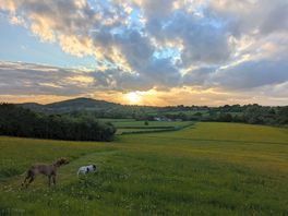 View of duncliffe woods from the field next to the campsite