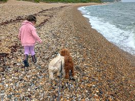 Beach was 5 mins away