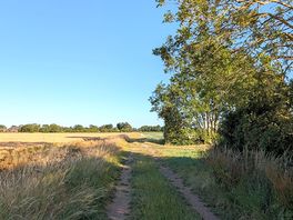 Could walk for miles
