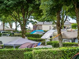 Pitches under trees and divided by hedges
