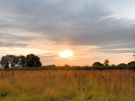Sunrise from the front of the yurt