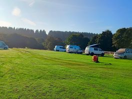 Campervans on site