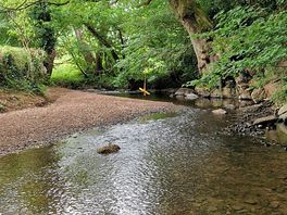Nice small river and tree swings