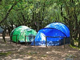 Spacious camping pitches
