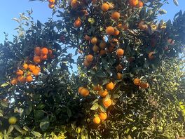 A snippet of the grounds.