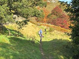 Trotters gill walk