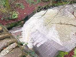 Gorgeous walk to the beach