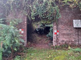 Around the site