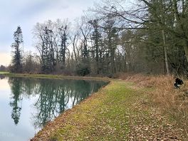 Shot of the lake